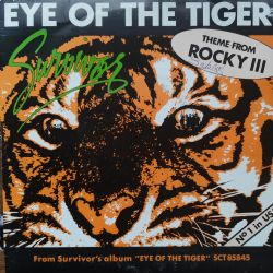 Eye Of The Tiger