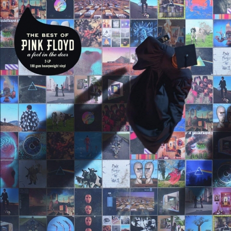 The Best Of Pink Floyd: A Foot In The Door